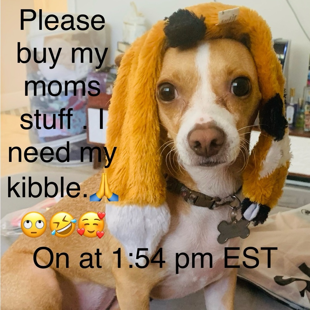 Live show!!! Plz come join me!
